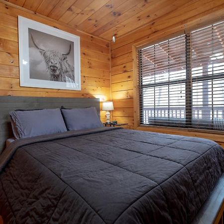 Villa Three Dog Night - Pet-Friendly Cabin With Hot Tub Blue Ridge Exterior foto